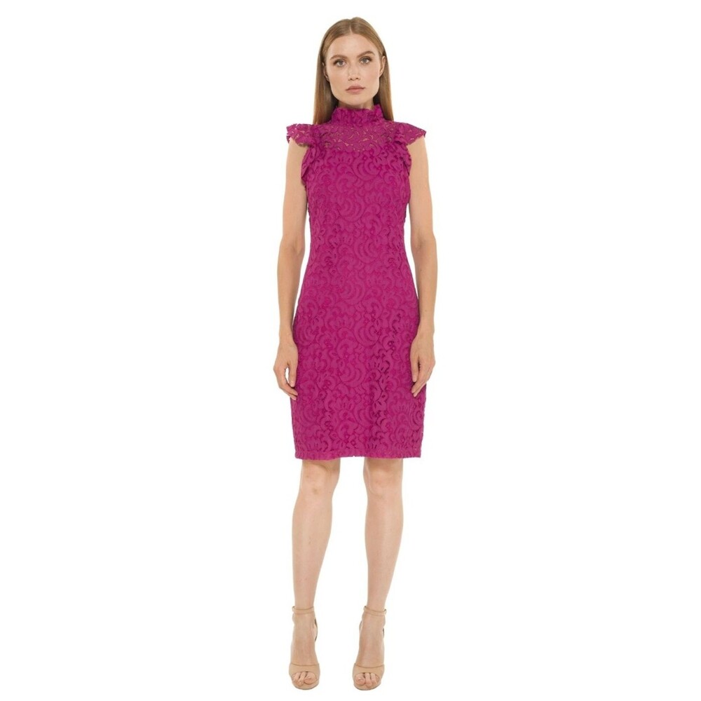 Alexia Admor Ruffle Mockneck Lace Dress XL Pink Coquette Romantic Cocktail Party